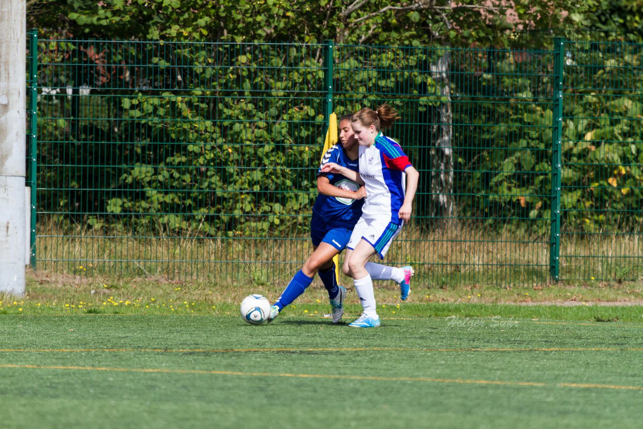 Bild 203 - B-Juniorinnen SV Henstedt Ulzburg - FSC Kaltenkirchen : Ergebnis: 3:2